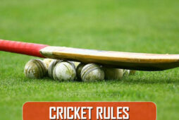 क्रिकेट नियम